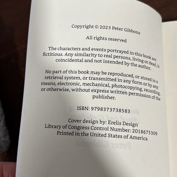 Valkyrie Rising The Raven & The 9 Viking Blood and Blade Saga Peter Gibbons Lot - Picture 6 of 8